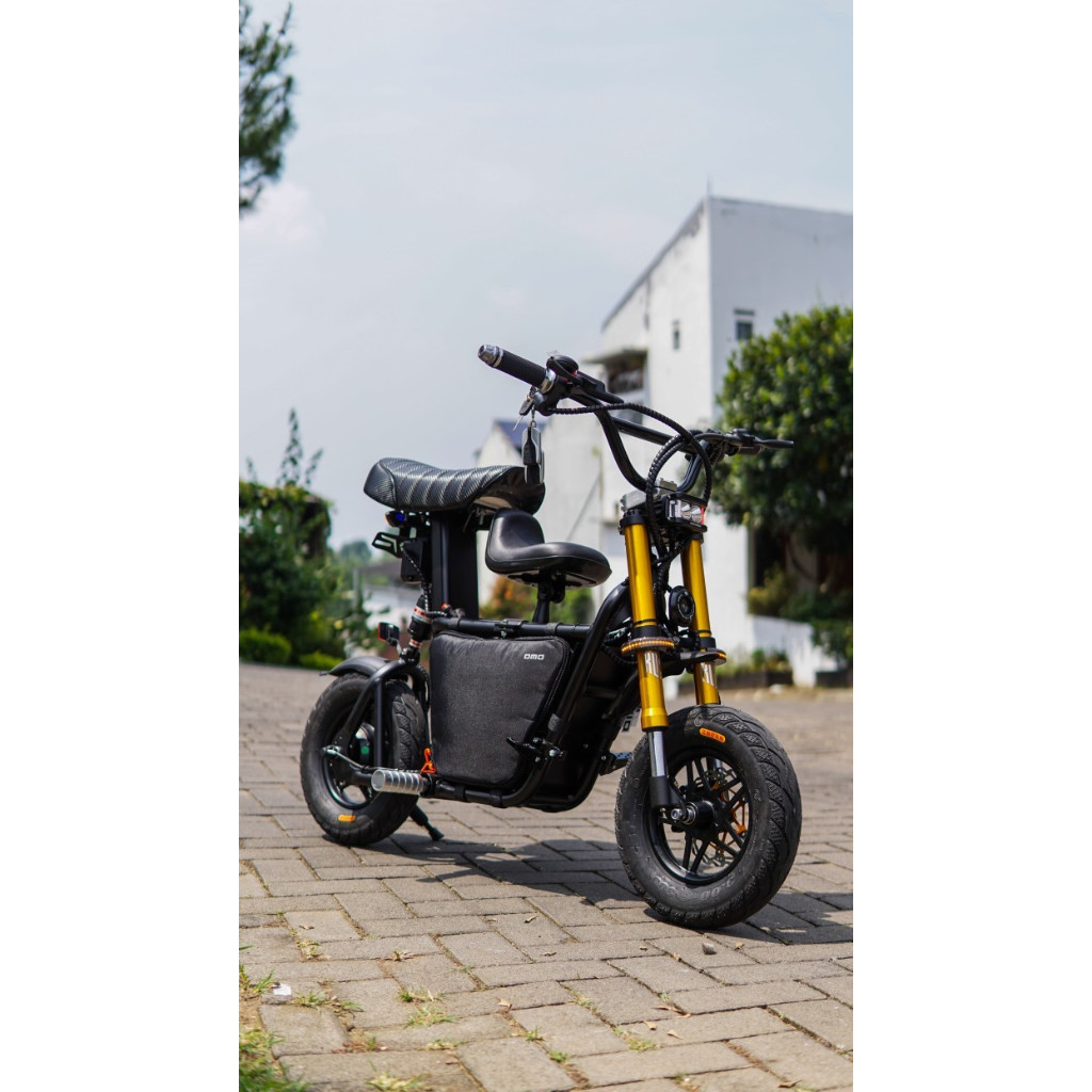 Fiido Q1S Upgrade Black Dual Crown Gold Speed 45KPH