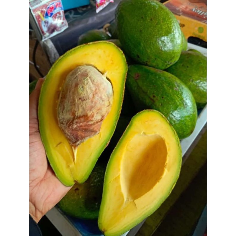 

Ready alpukat mentega 1 kg isi 1 atau 2