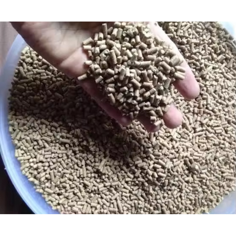 PELET IKAN TENGGELAM- PAKAN IKAN AIR TAWAR, UDANG HIAS LOBSTER