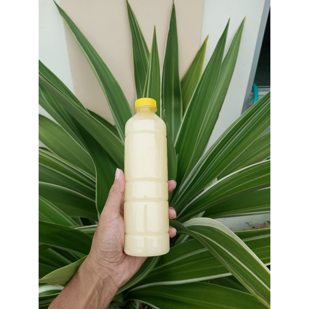 

SARI LEMON ECER DAN CURAH, 500 ML ASLI PRODUKSI SENDIRI TANPA CAMPURAN AIR