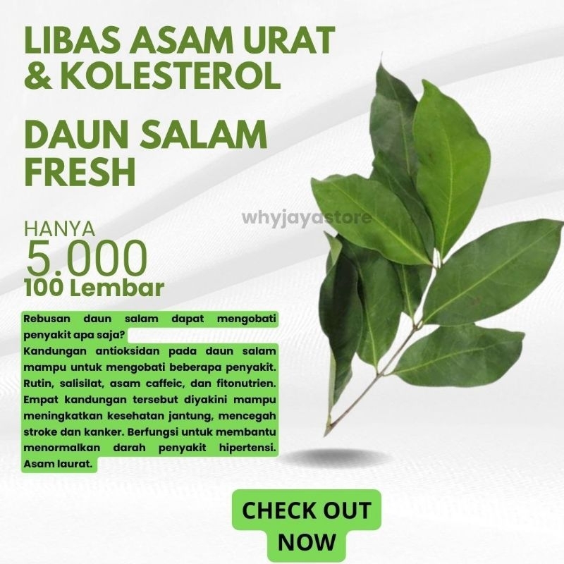 

Daun Salam Fresh 100 lembar