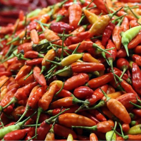 

Cabe/Cabai Rawit Merah Ori Fress Berat 500 GramTermurah