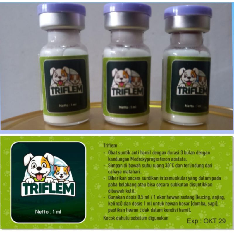 KB KUCING 3 Bulan, Free 1 suntikan, untuk 3 Bulan 1x