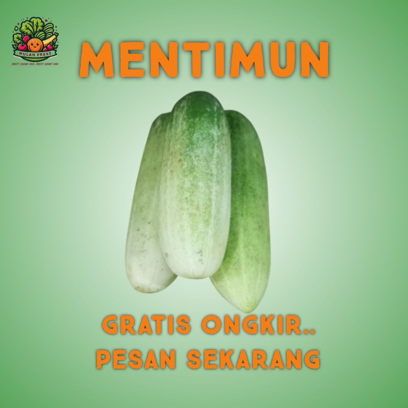 

MENTIMUN