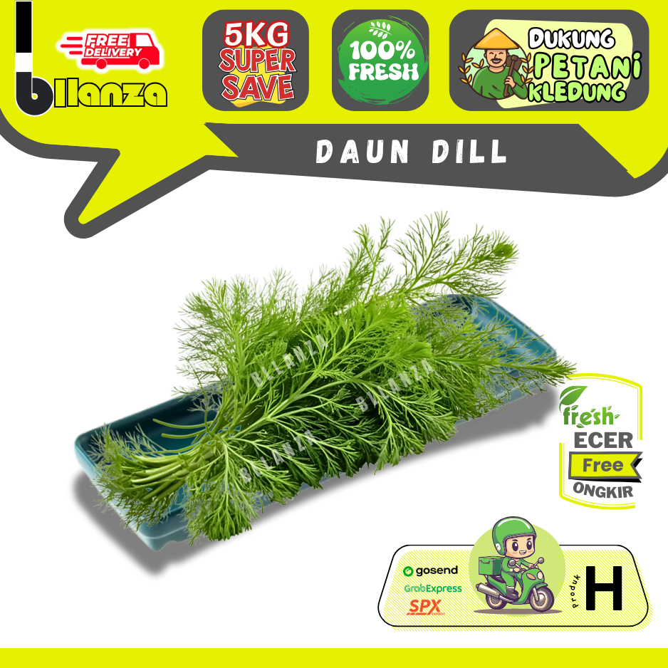 

Bllanza | Daun Dill — Sahabat Makan Sayur (H)