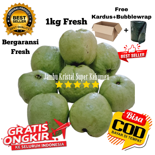 

Jambu Kristal 1kg Fresh Grade A Kualitas Super Tanpa Biji Asli Kebumen