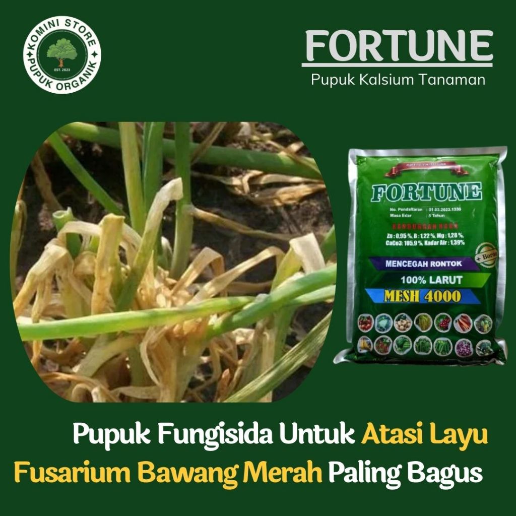 TERBARU FORTUNE 1KG Kalsium fertlizer Pupuk fungisida layu kuning daun bawang merah - Obat layu fusa
