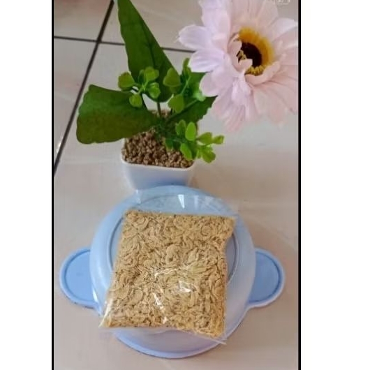 

Udang rebon gurih besti