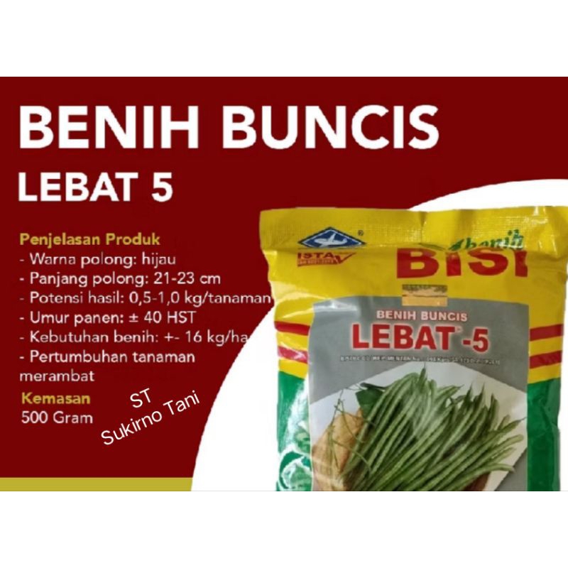 Bibit Buncis LEBAT - 5 500gr Benih Bisi Cap Kapal Terbang