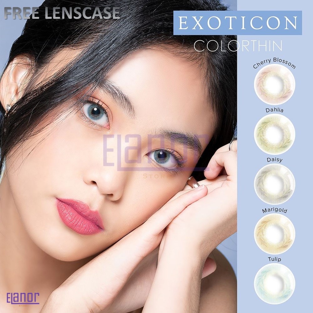 SOFTLENS X2 COLORTHIN NORMAL & MINUS (-0.50 s/d -6.00)