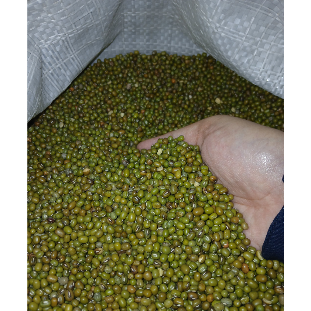 

Kacang Hijau Import 1kg - 05