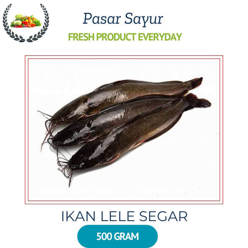 

Ikan Lele Segar / Fresh, 500 Gram - 1 Kilo