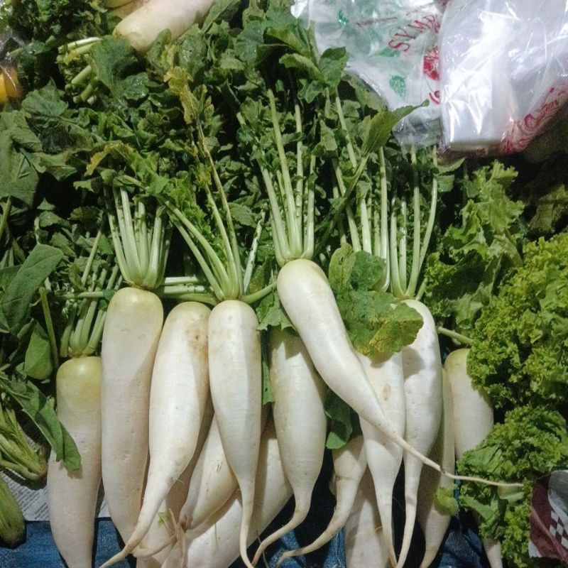 

Daun Lobak