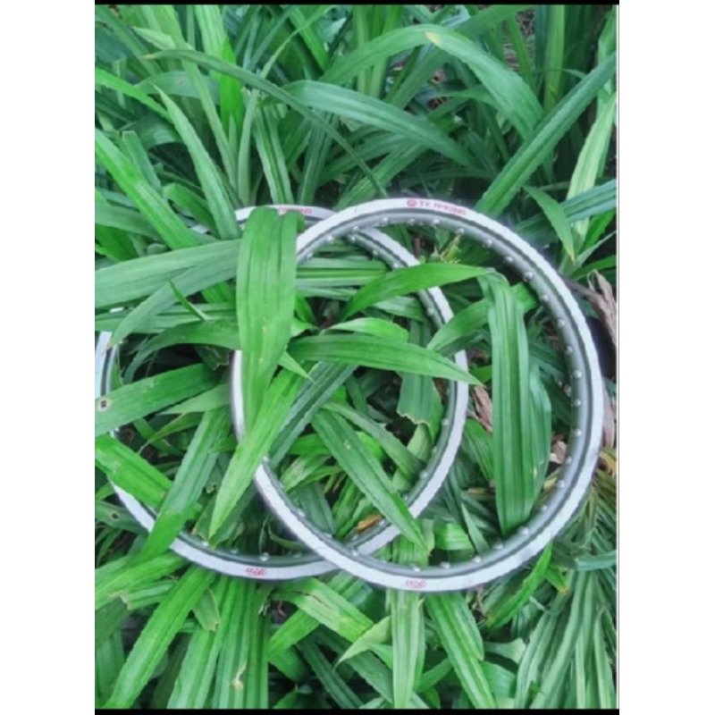 VELG TK EXCEL JAPAN SILVER KULIT JERUK 17-140