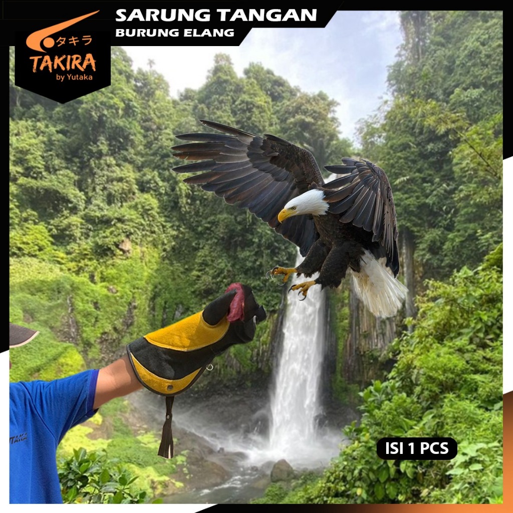 sarung tangan burung elang kulit asli / burung hantu / Eagle gloves
