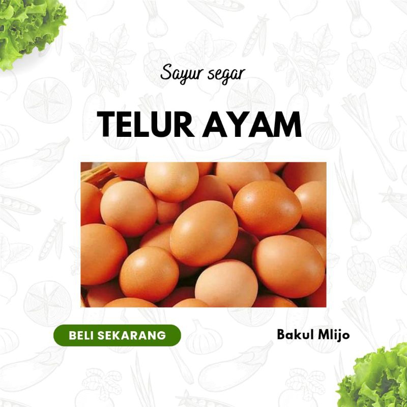 

TELUR AYAM NEGERI NEGRI FRESH 1 KG SEGAR / TELUR OMEGA AYAM POTONG