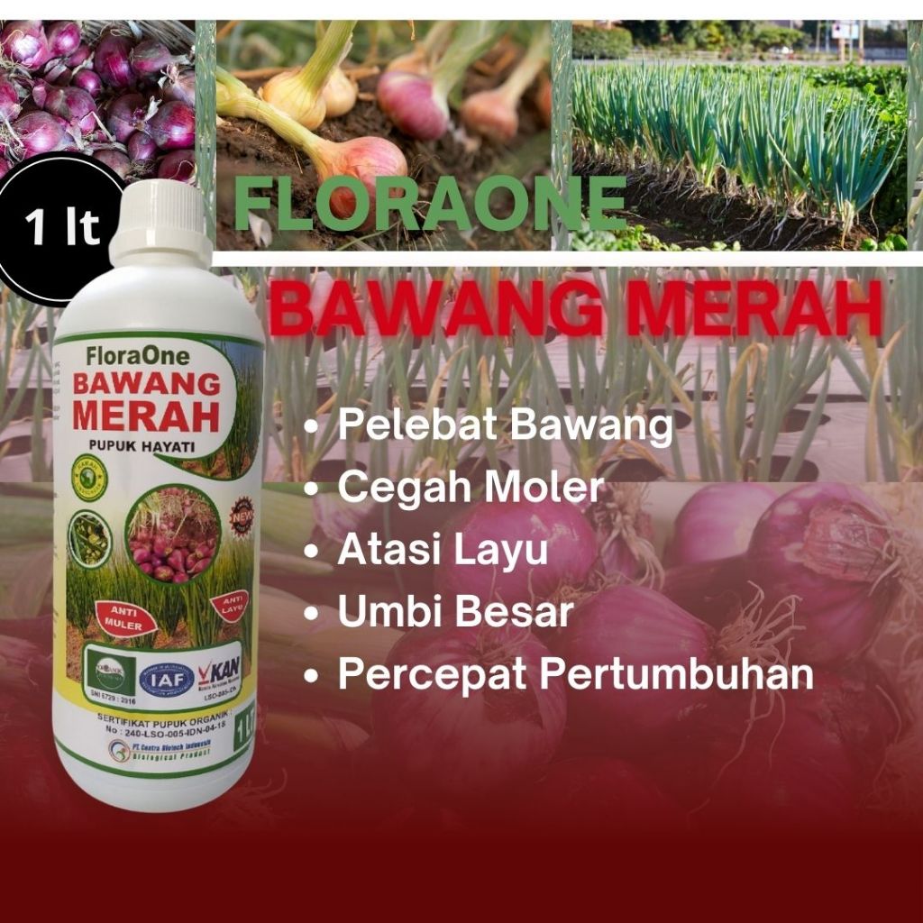 Pupuk Fungisida Bawang Merah, Obat Bawang Merah Daun Layu