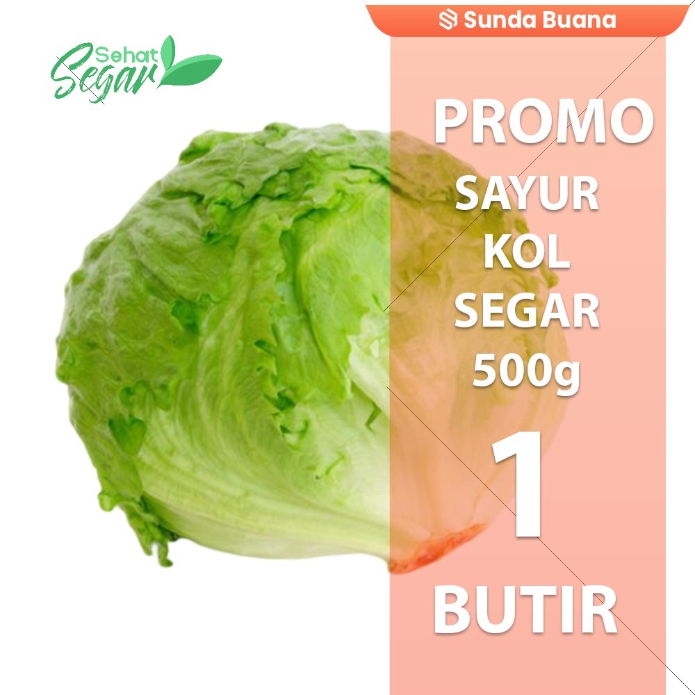 

Sayur Kol Fresh 500 gram Dikemas Premium 1 Butir