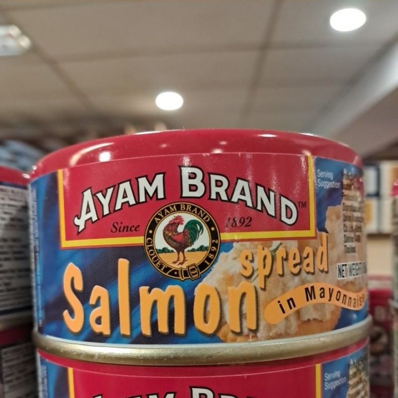 

Ayam brand salmon spread 160gr