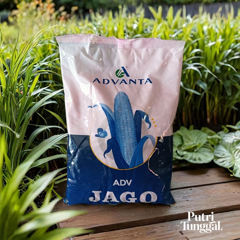 Benih jagung advanta jago ADV