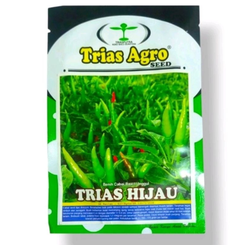 benih bibit cabe rawit Trias Hijau tegak 10 gr