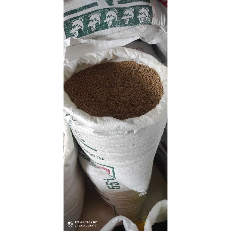 PUR BABI 551 CHAROEN POKPHAND 1KG