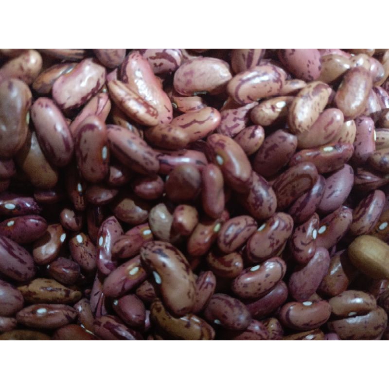 

kacang merah kacang es 500Gram