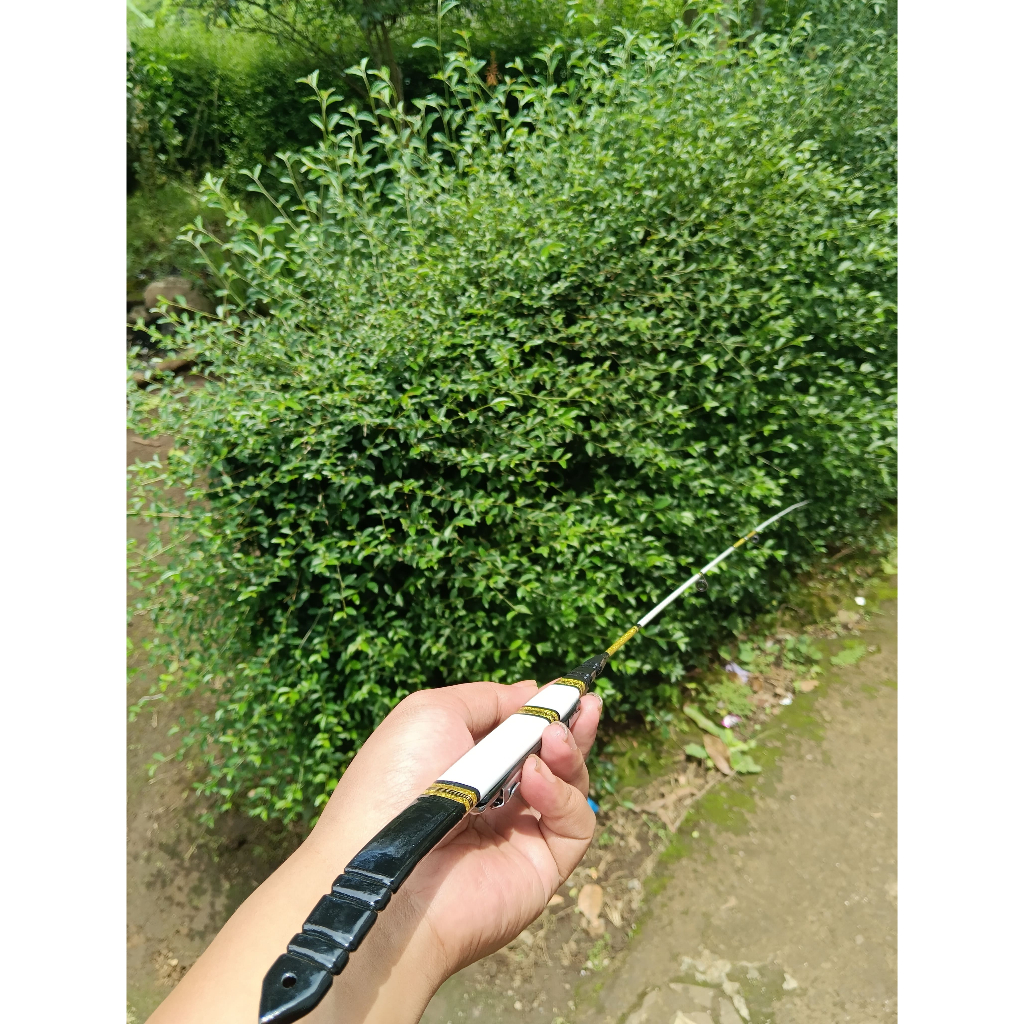 Joran wader premium super lentur 150cm (putih)