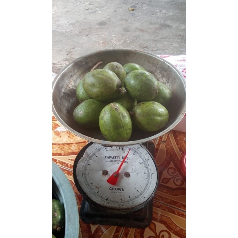 

buah kedondong segar 1 kg 10 buah