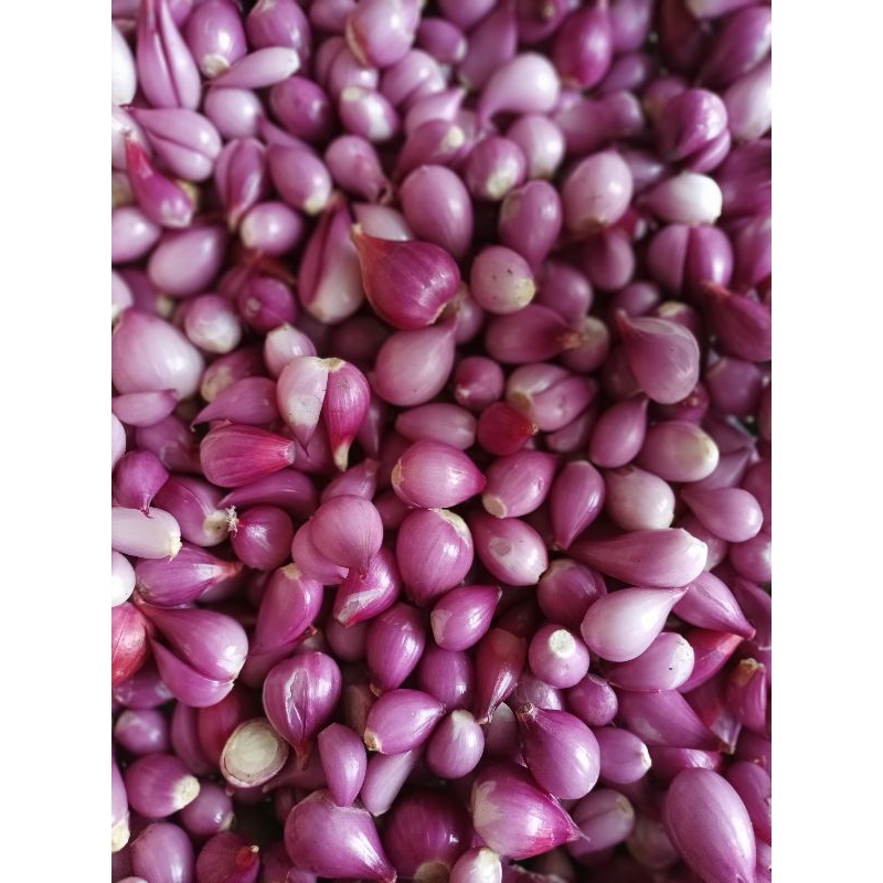 

Bawang merah Brebes kupas 500g