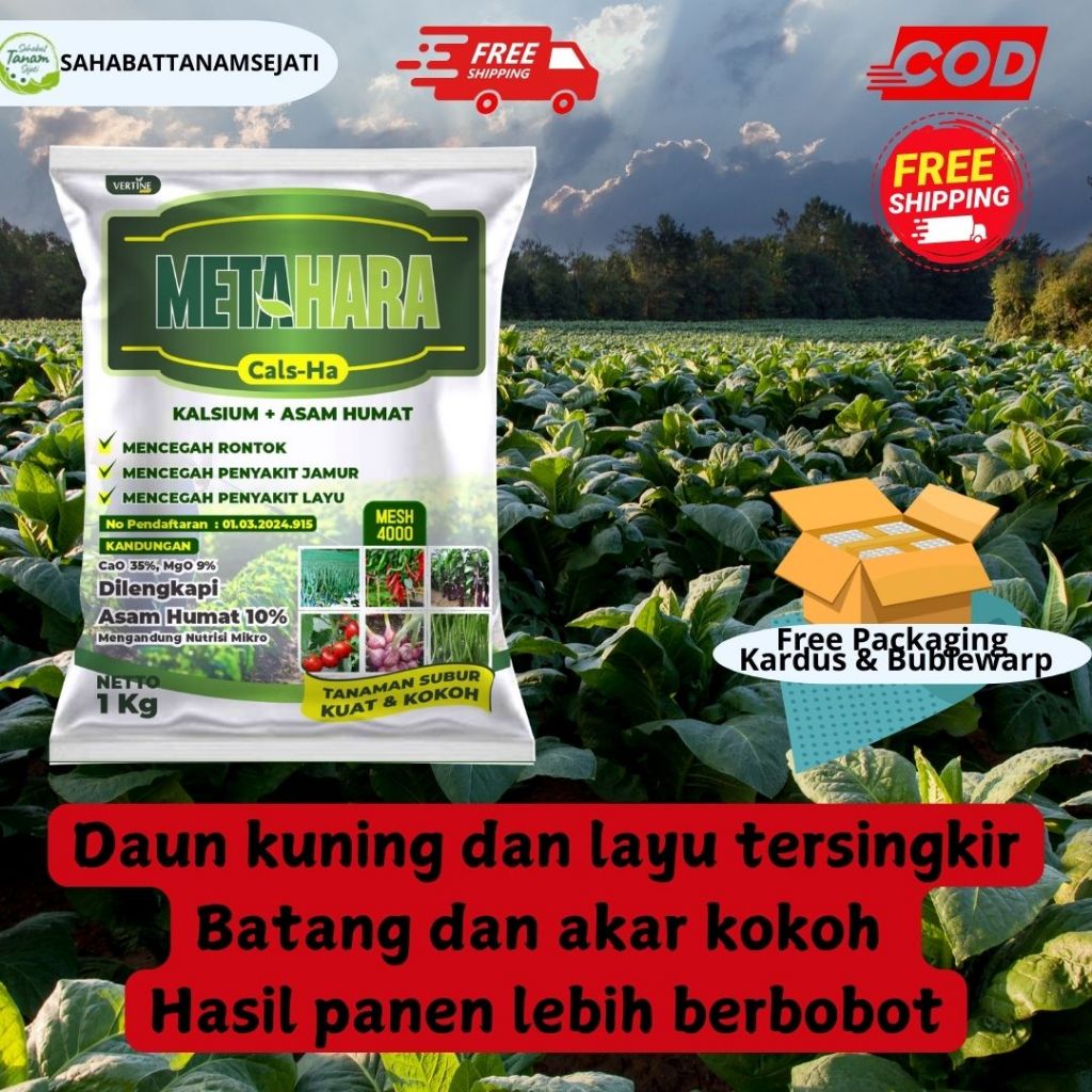 Pupuk Tepung Metahara Cal-Ha Kalsium + Asam Humat Pelebat Daun Tembakau, Perlebar dan Pertebal Daun,