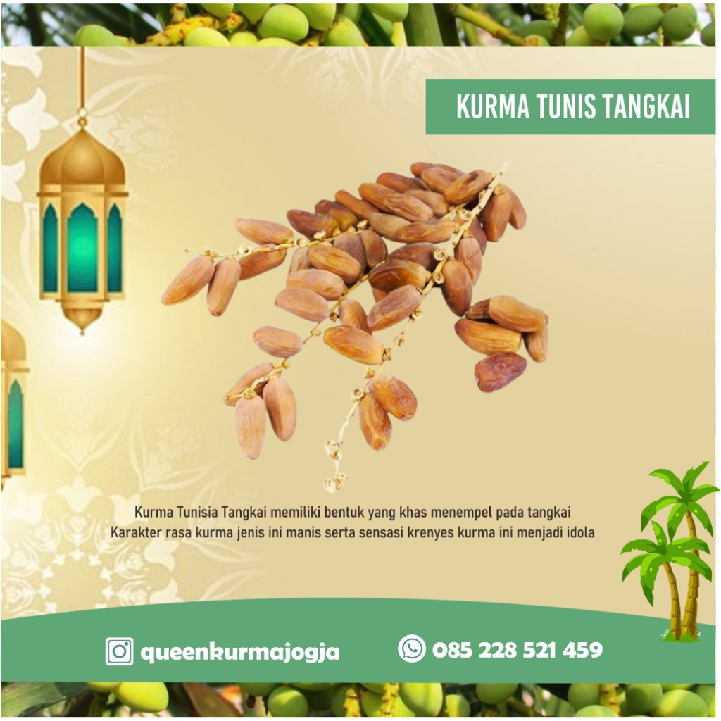 

Tunisia Tangkai 500 gram