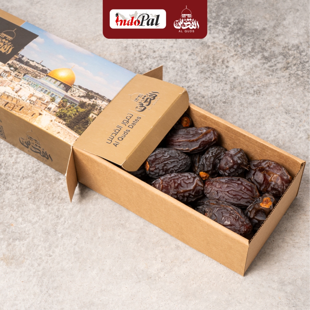 

Kurma Medjool Al Quds Palestina 1kg Elite Terbaru
