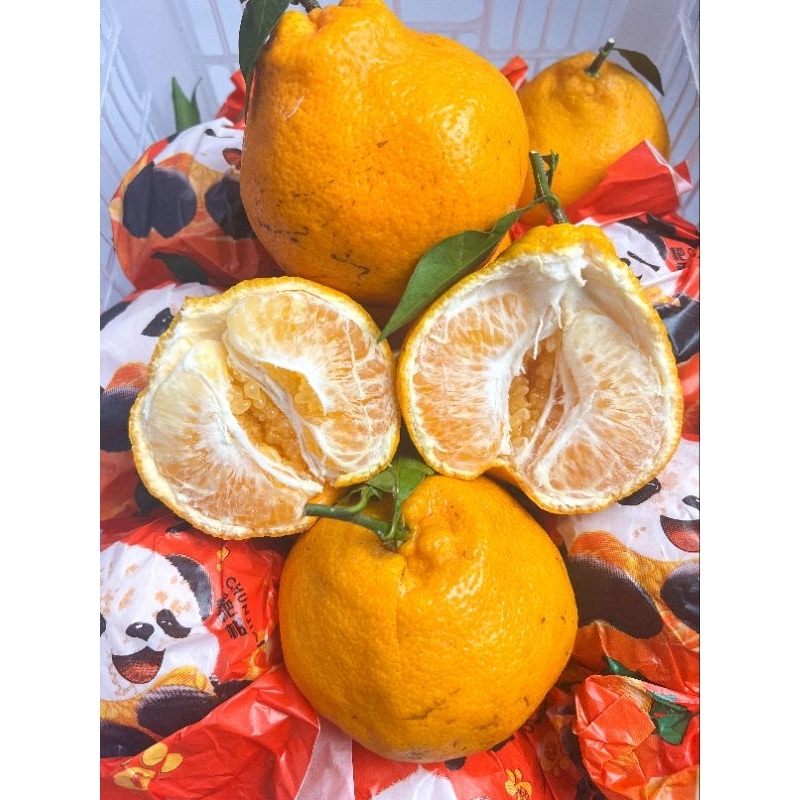 

Jeruk Papagan Dekopon 1kg