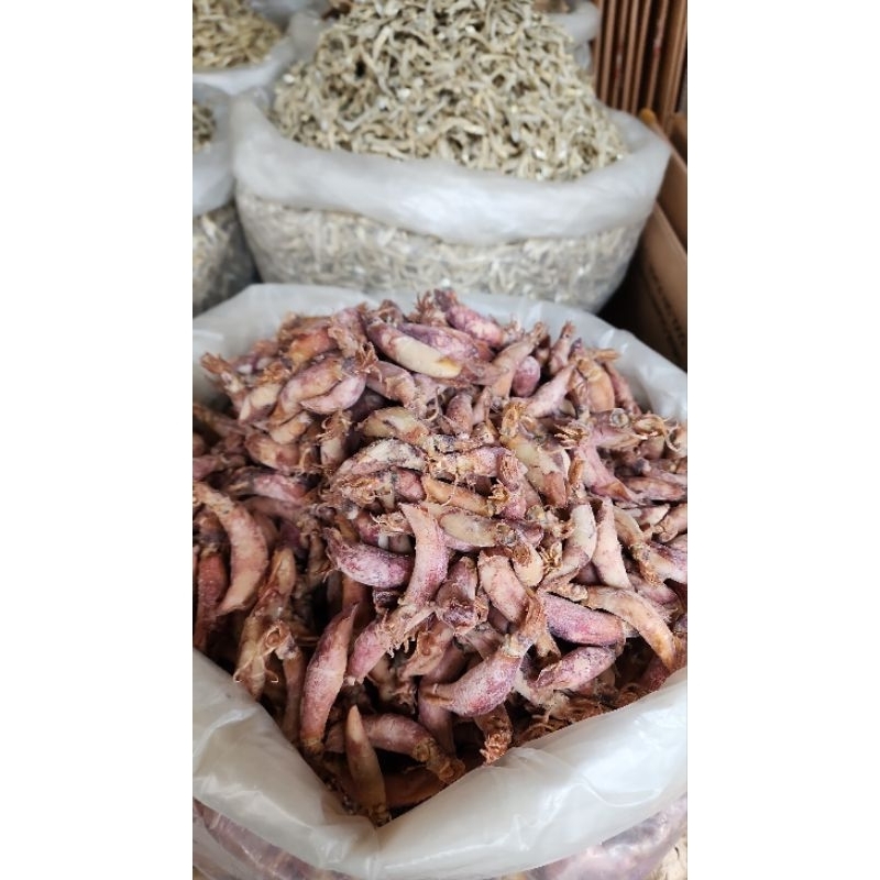 

Cumi sotong kering asin besar dari tanjung pinang