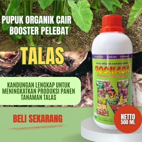 Pupuk Talas / Booster Tanaman Talas / Nutrisi Cair Pupuk Talas / Pupuk Pelebat Tanaman Bunga Talas
