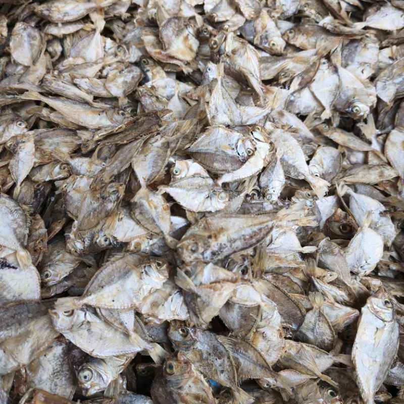 

IKAN ASIN KERING DOKDOK