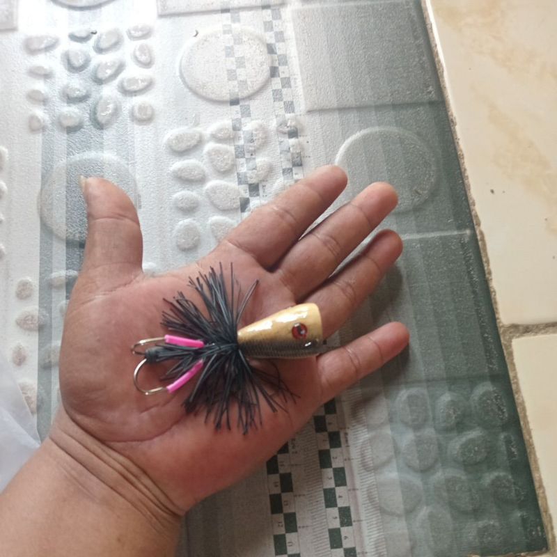 umpan casting toman & Gabus