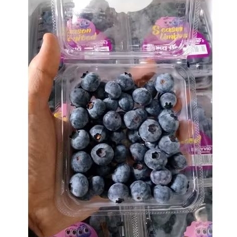 

BLUEBERRY 125 GR. FRESH