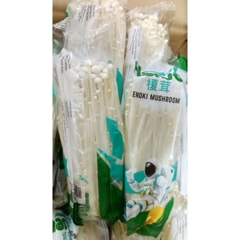

Jamur Enoki HARVO