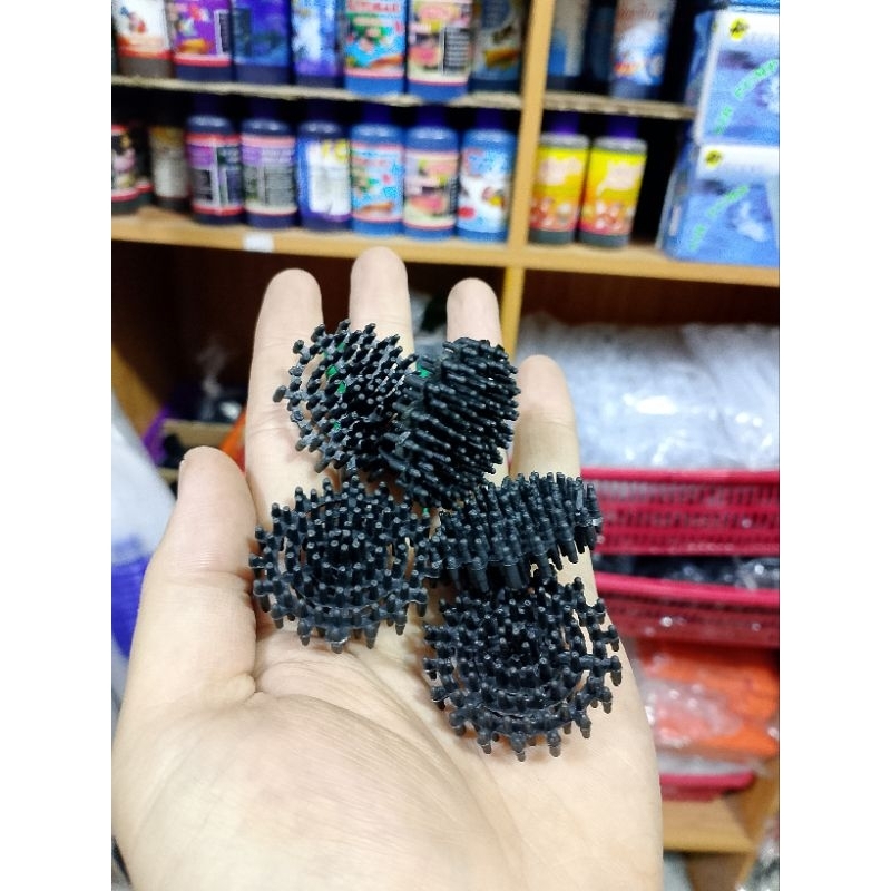 BIOBALL FILTER // RAMBUTAN