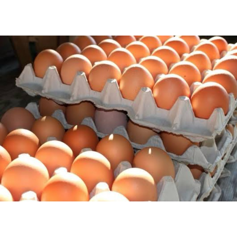 

Telur ayam 1kg fresh