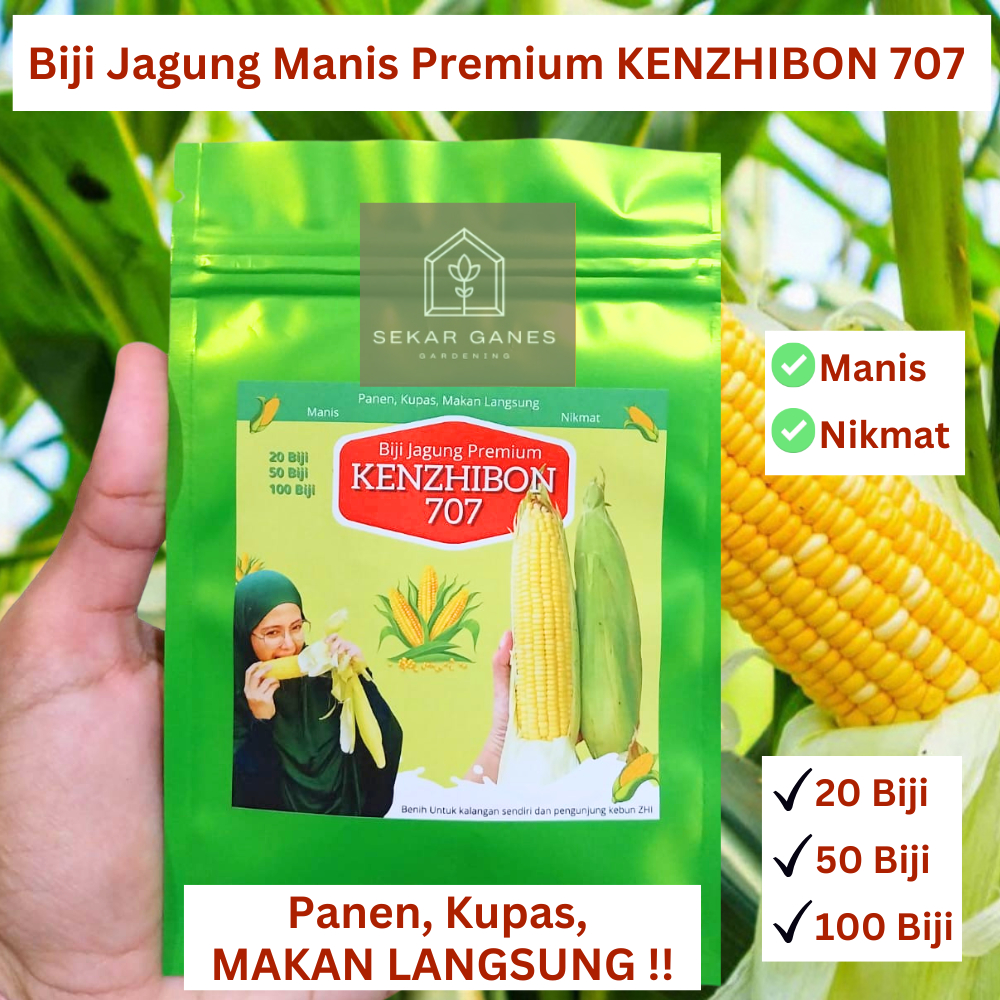 PREMIUM Biji Benih Jagung Manis KENZHIBON 707 BISA LANGSUNG DIMAKAN - Bibit Jagung Manis bonanza now