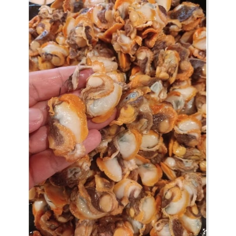 

kerang darah kupas