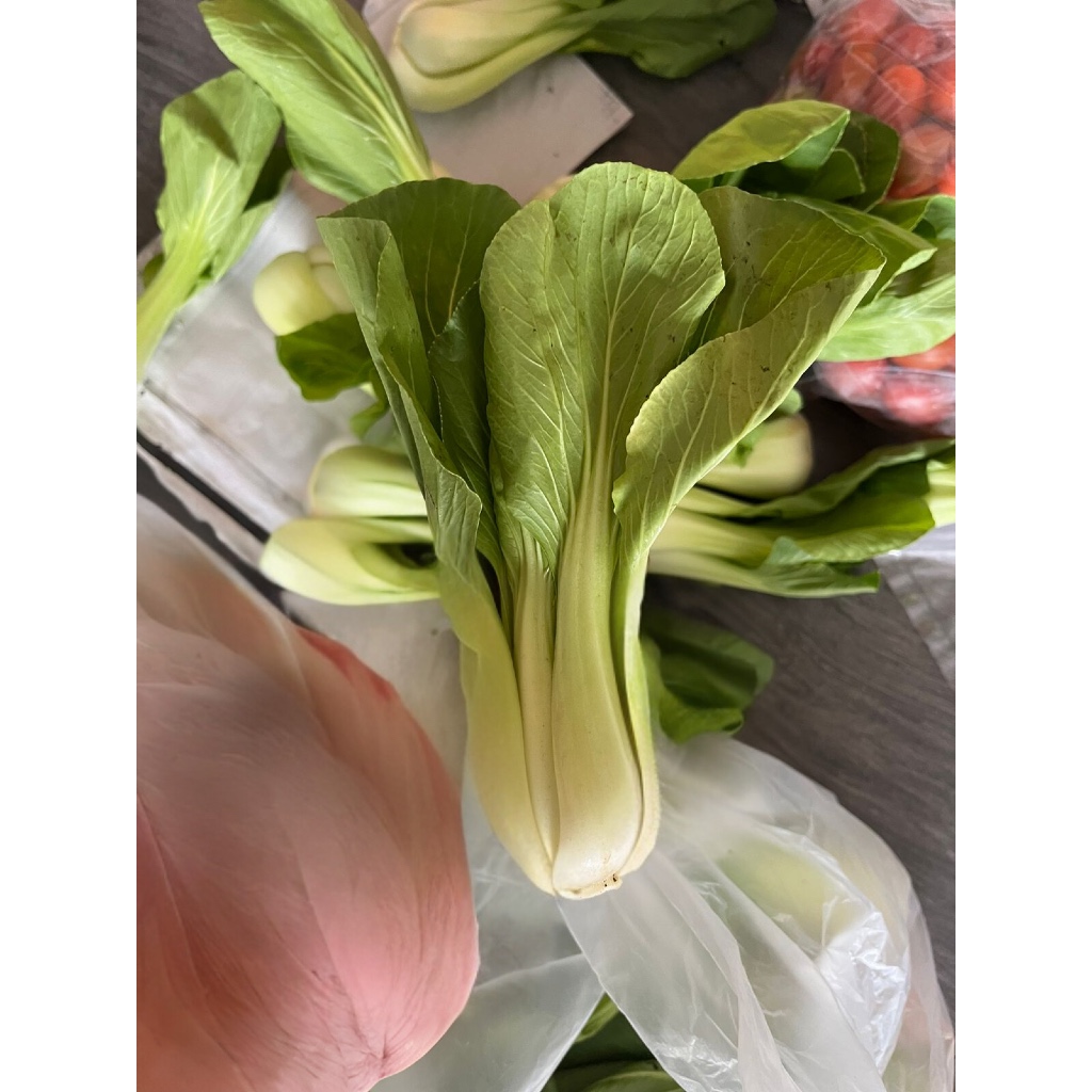 

Sayur Pokcoi, Pokcay (Organik ) 200g - Tangan Hejo