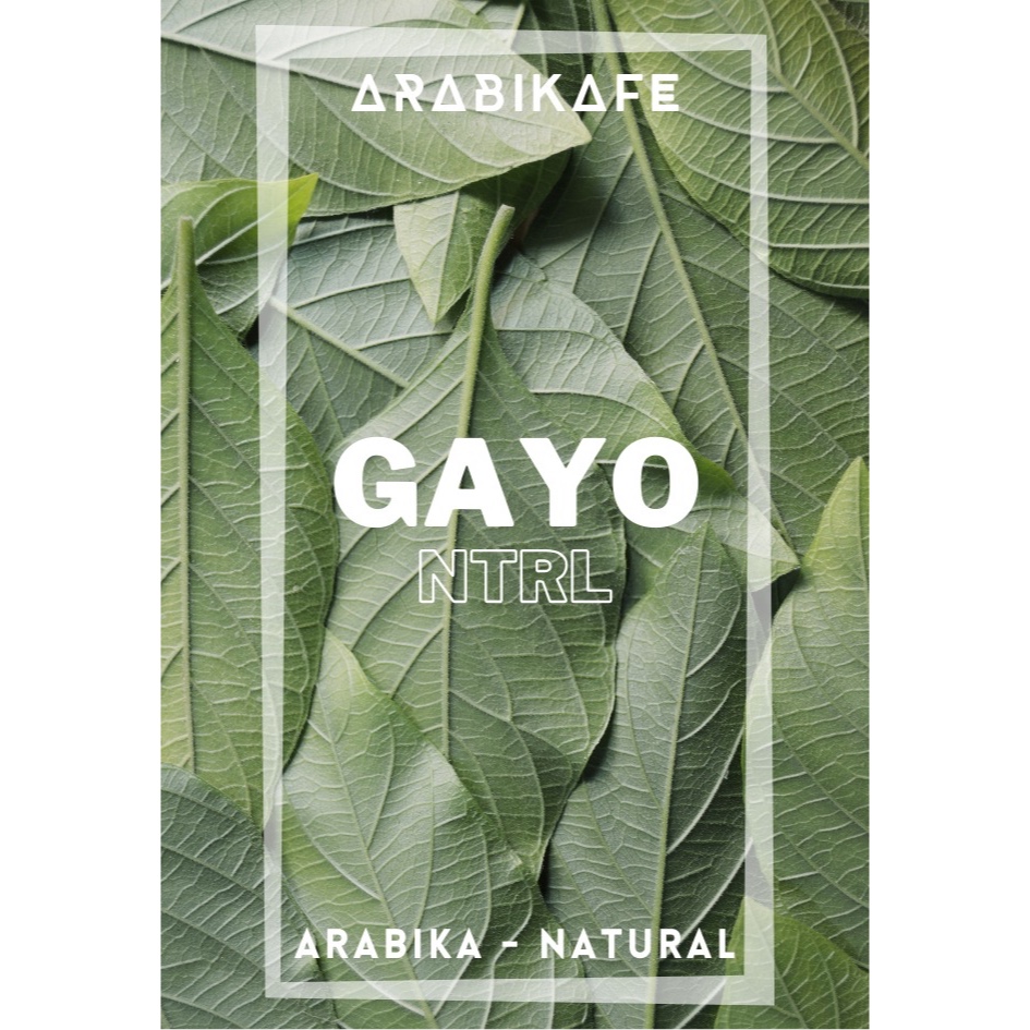 

GAYO NTRL - 100% ARABICA - BEANS KOPI - SINGLE ORIGIN