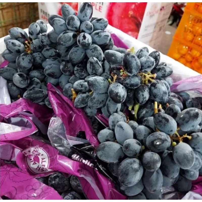 

buah anggur hitam peru 500gram