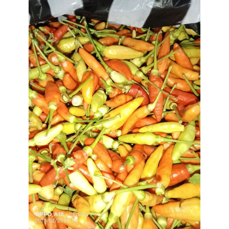 

cabe ori