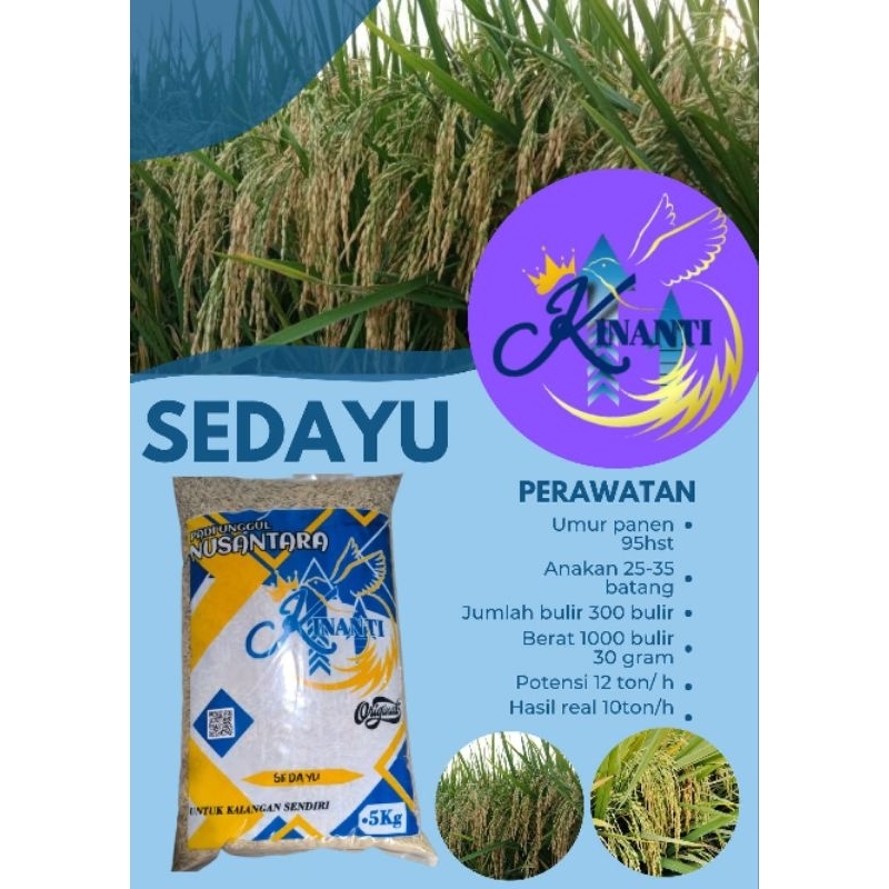 Benih Padi SEDAYU Kemasan 5Kg