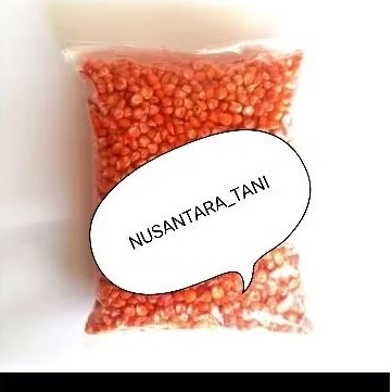 BENIH JAGUNG ECERAN RK 457 1KG DI KEMAS POLOS 1KG MERK RK 457 DI KEMAS POLOS 1KG